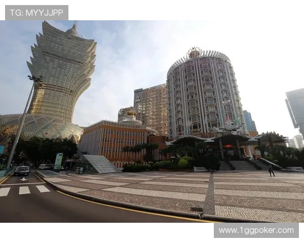 探索澳博控股集团官网：了解最新动态与投资机会